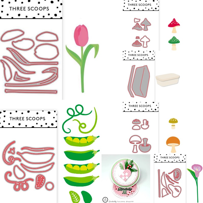 Candle Making Books - Çiçeklerdeki Yaprakların Eğriliği Tam Kadar İdealdir